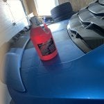 IMG_2436.jpeg