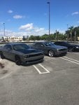 IMG_6558.JPG